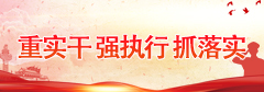 重实干 强执行 抓落实